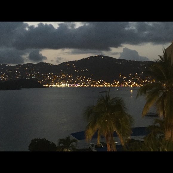 Meet your Posher, Phoebe - Picture 1 of 1